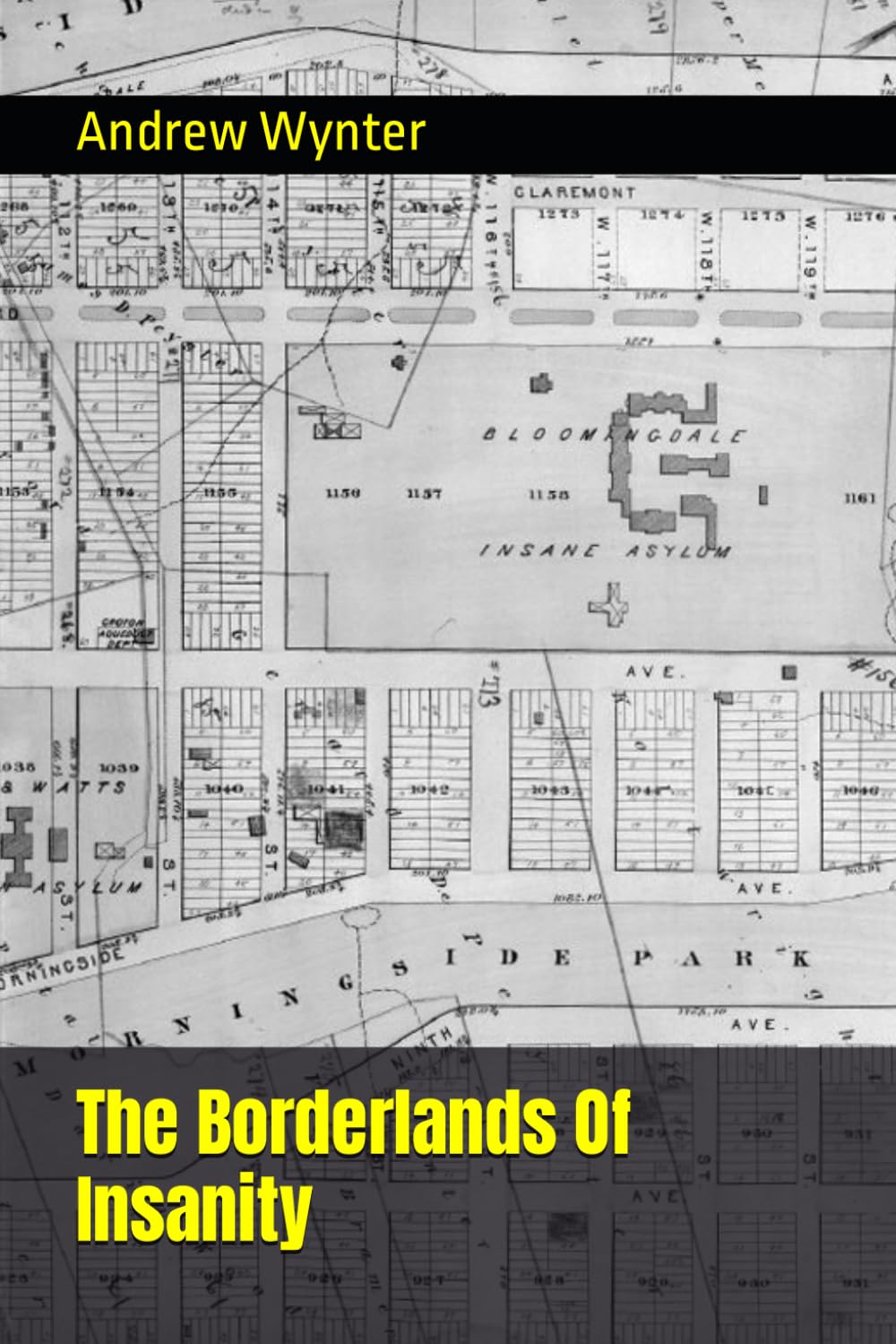 The Borderlands Of Insanity