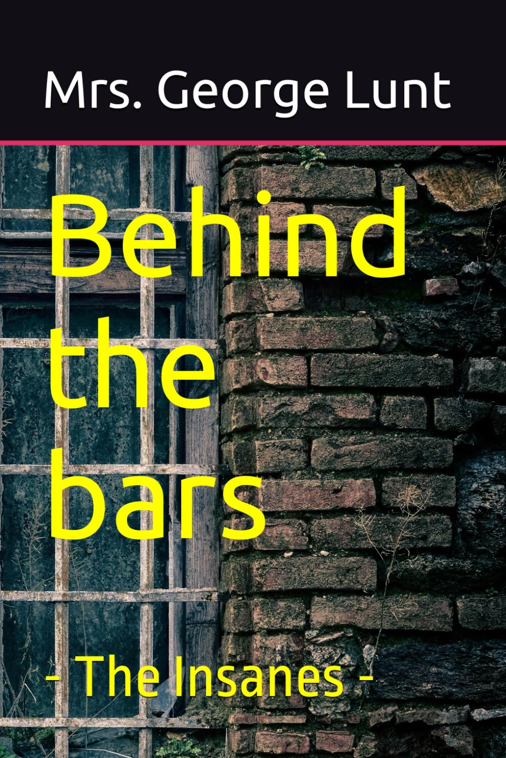 Behind the bars: The Insanes