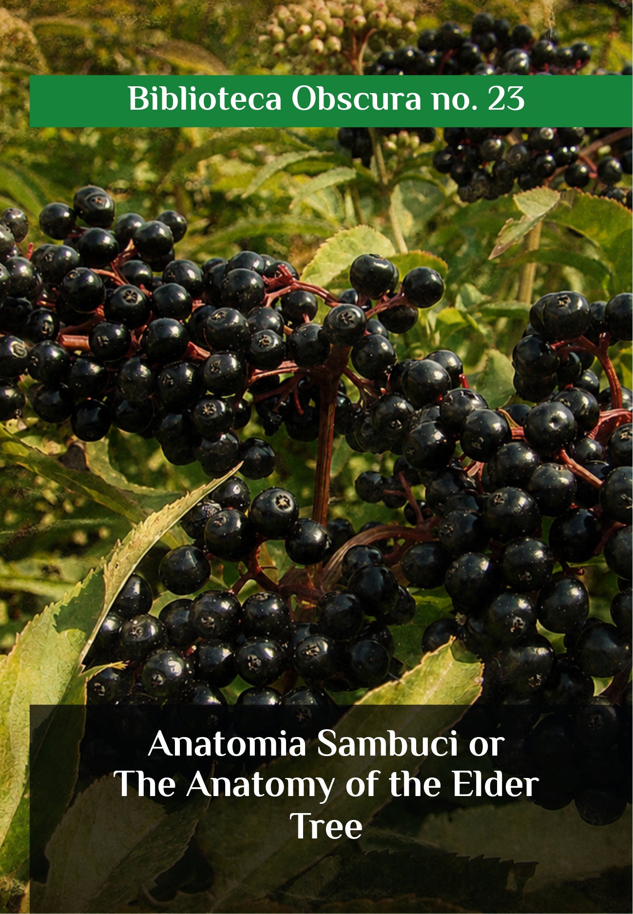 Anatomia Sambuci, or The Anatomy of the Elder Tree
